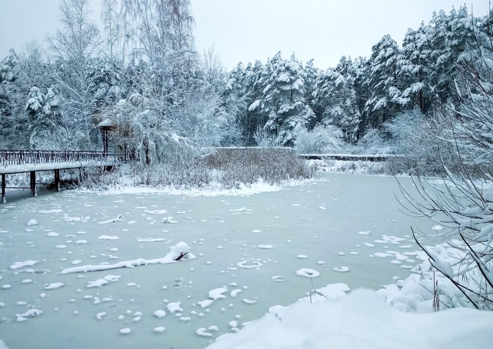 Photograph by Marta Litvinava