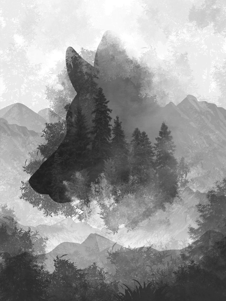 Photograph by Роман