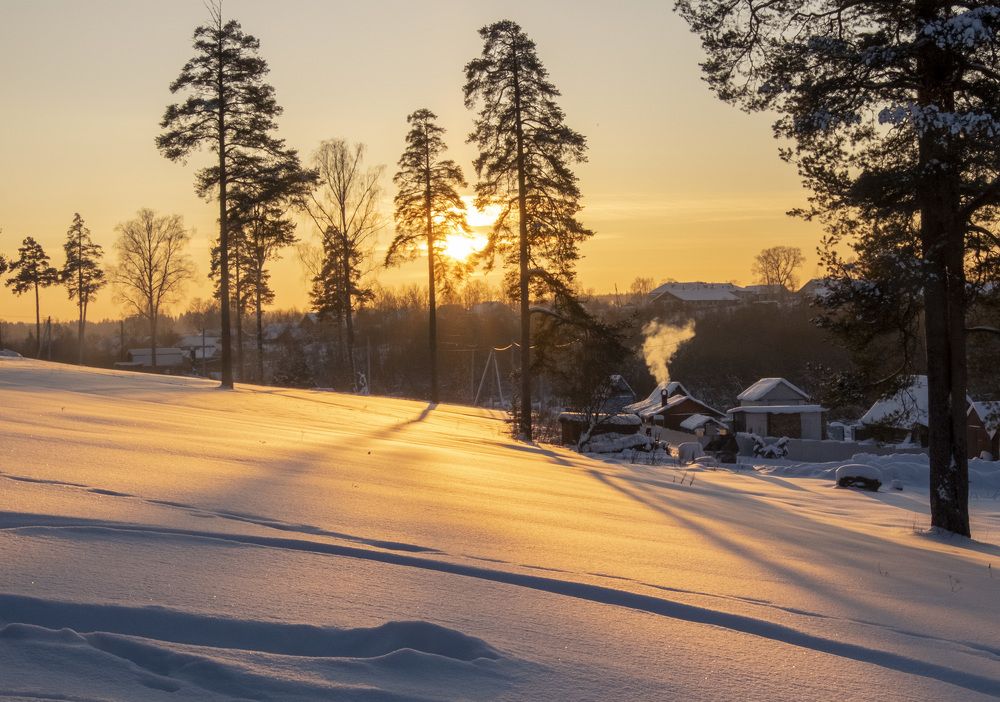 Фотография автора Наталья Липовская
