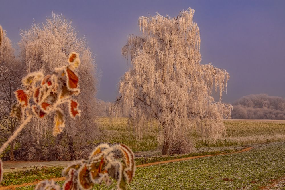 Photograph by Vitalii Kaznin