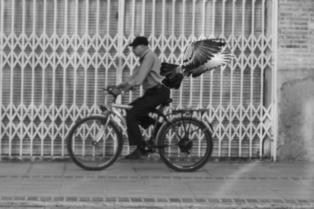 Photograph by sadegh alavi