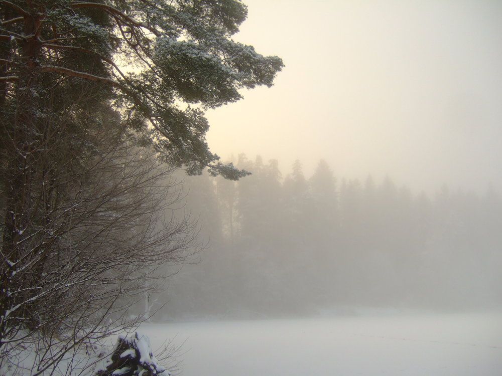 Photograph by Ольга Белик