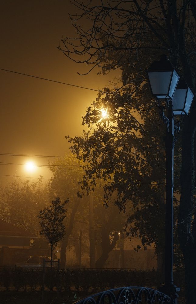 Fog