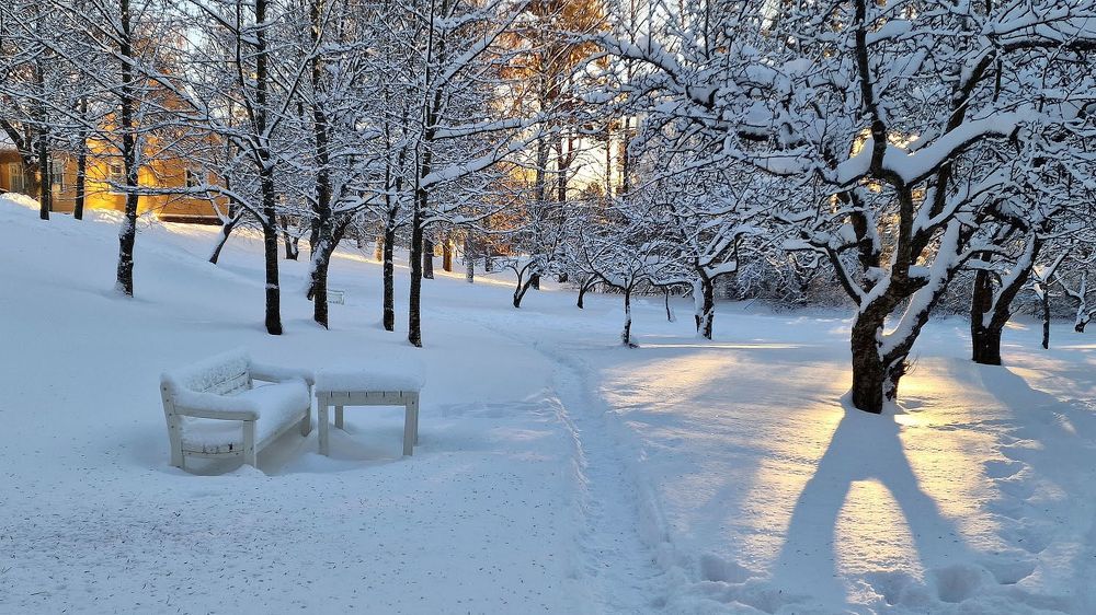 Photograph by Epp Tappel