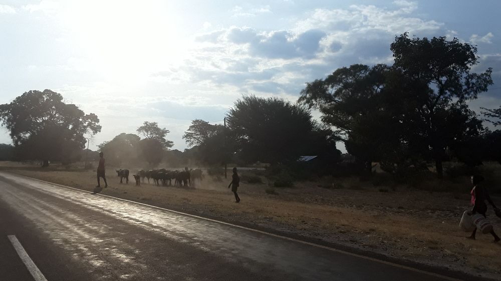 Фотография автора Grant Botha