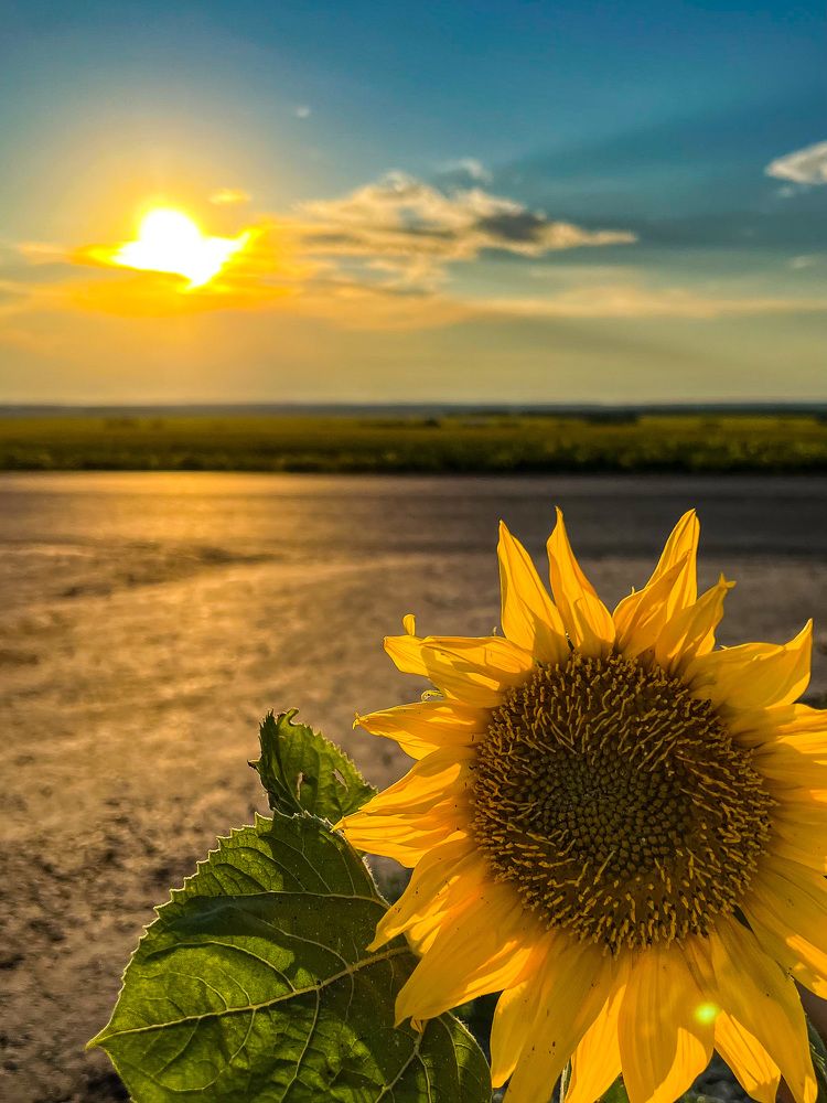 Photograph by Елена Сиушова