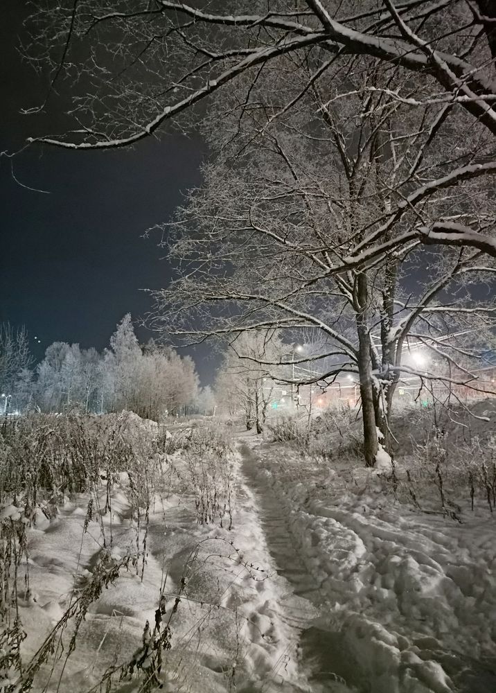 Photograph by Ольга Рогозина