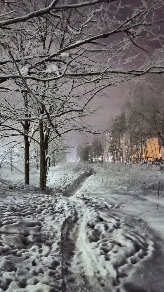 Photograph by Ольга Рогозина