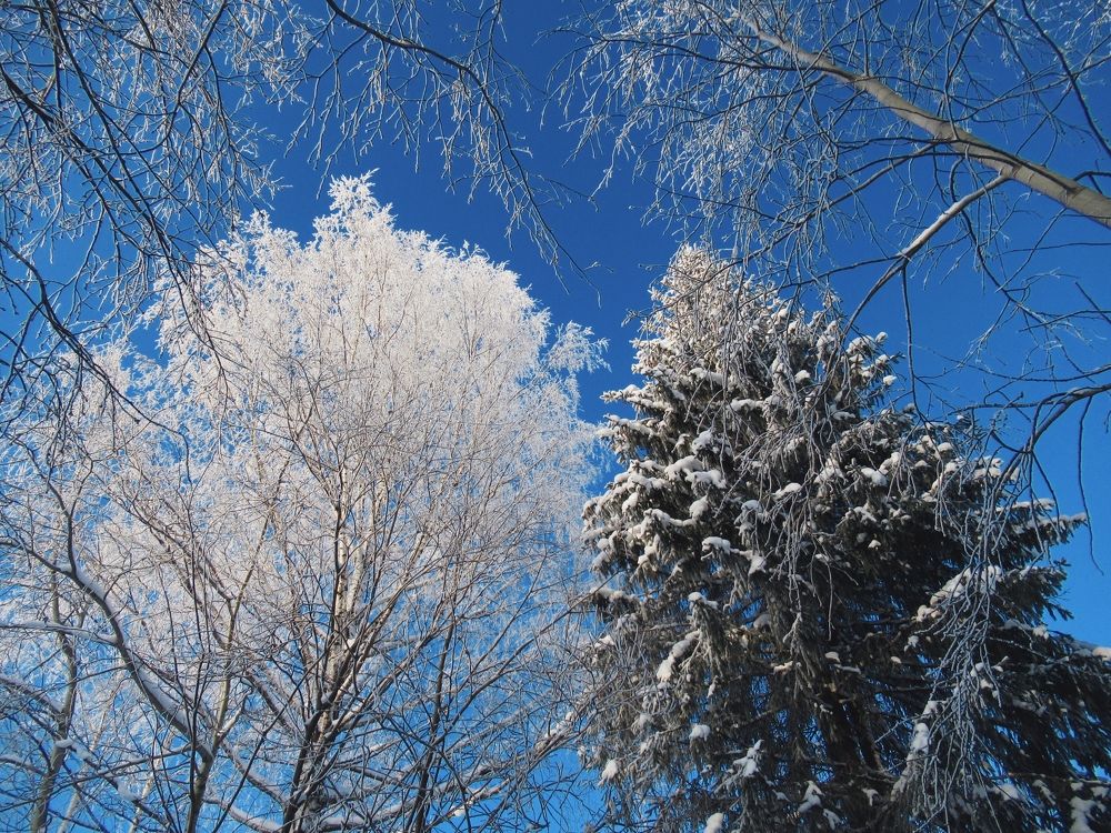 Photograph by Ольга Рогозина