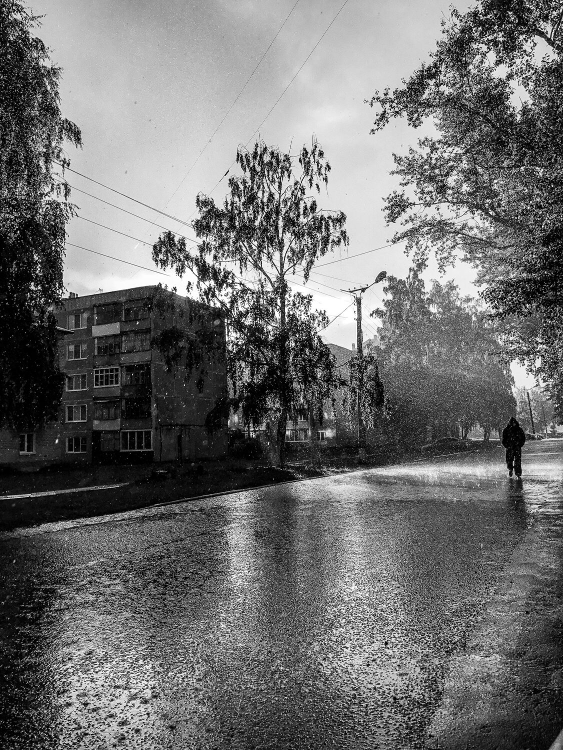 Photo #8541425
