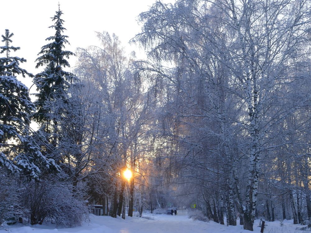 Photograph by Александр Кизим