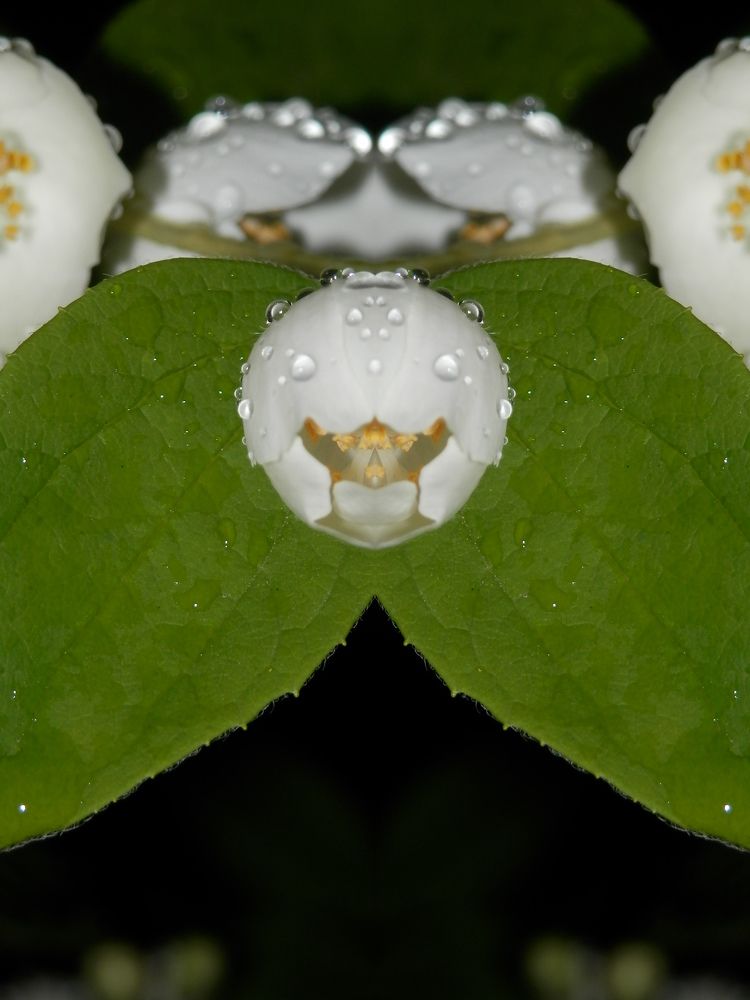 Photograph by Георгий Салюков