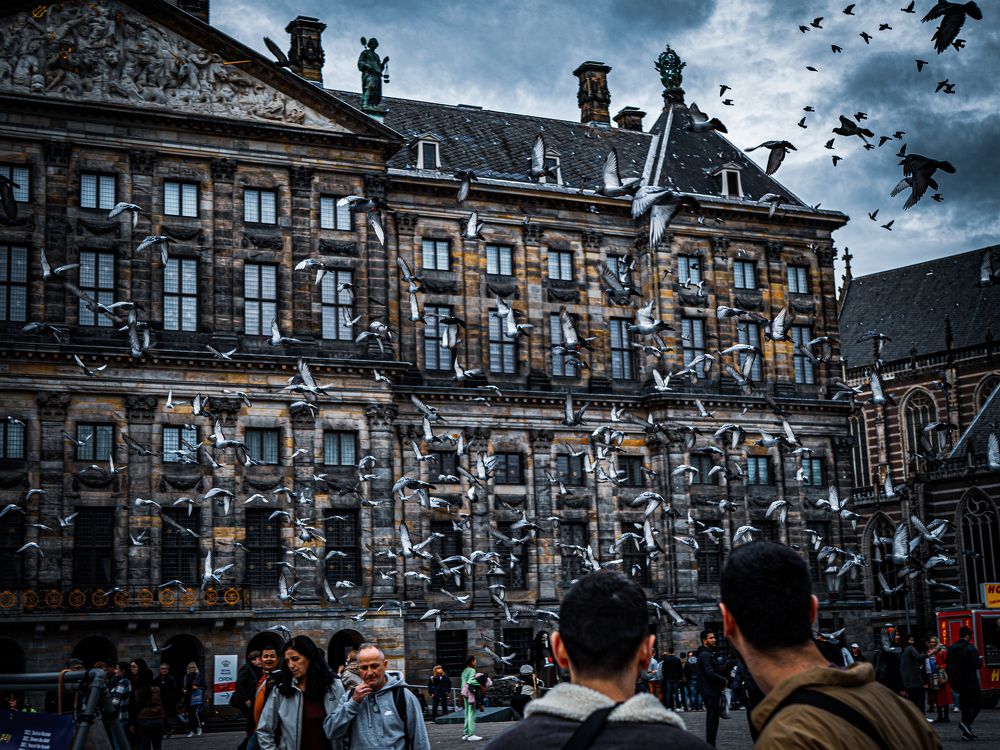 Amsterda Street Life