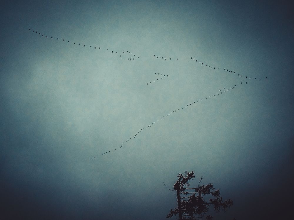 Photograph by Олеся Семёнова