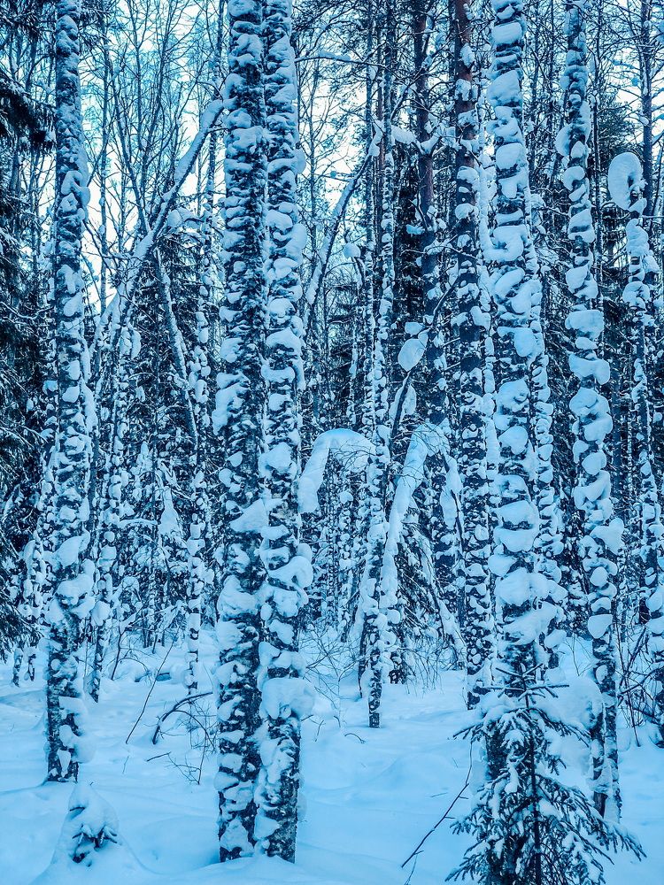 Снежные столбы