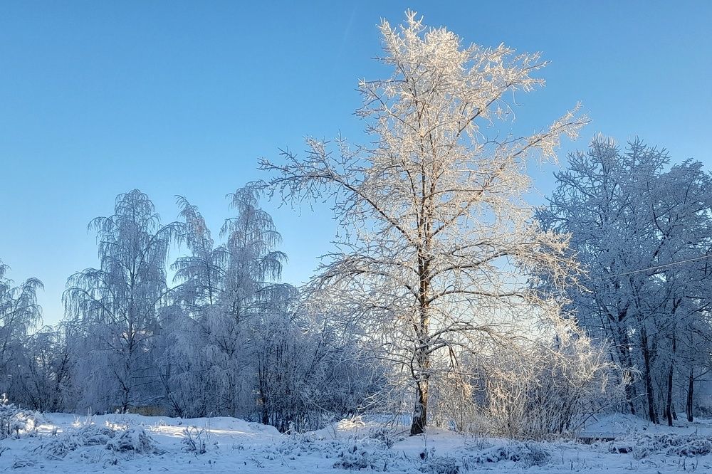 Photograph by Ольга Березовская