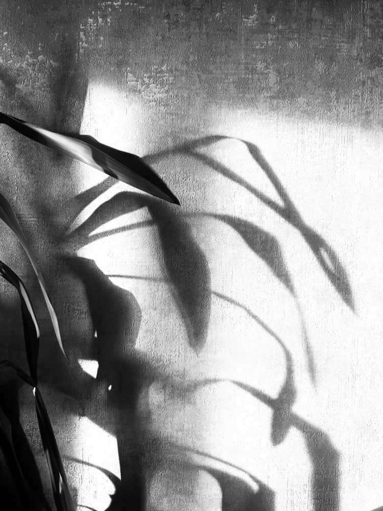 Photograph by Aleksei Rudovich