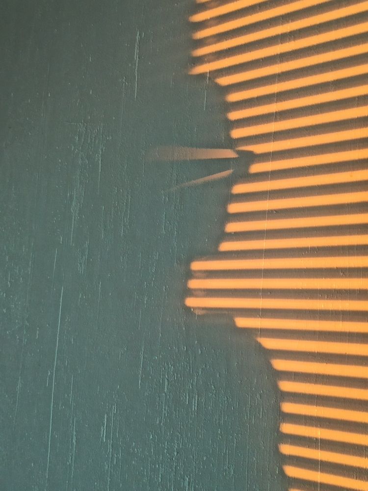 Photograph by Елена Копейкина