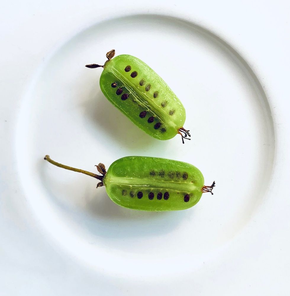 Photograph by Lyudmila Klimanova