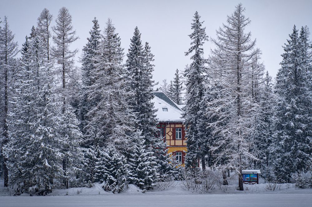 Фотография автора Krisztián Csalami