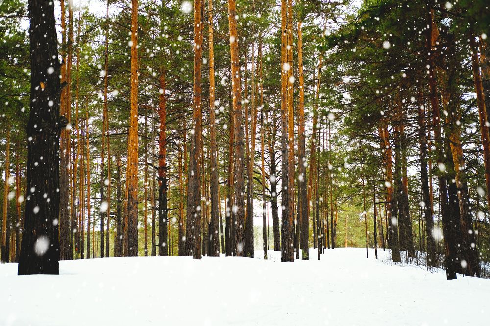 Photograph by Павел Ларшин