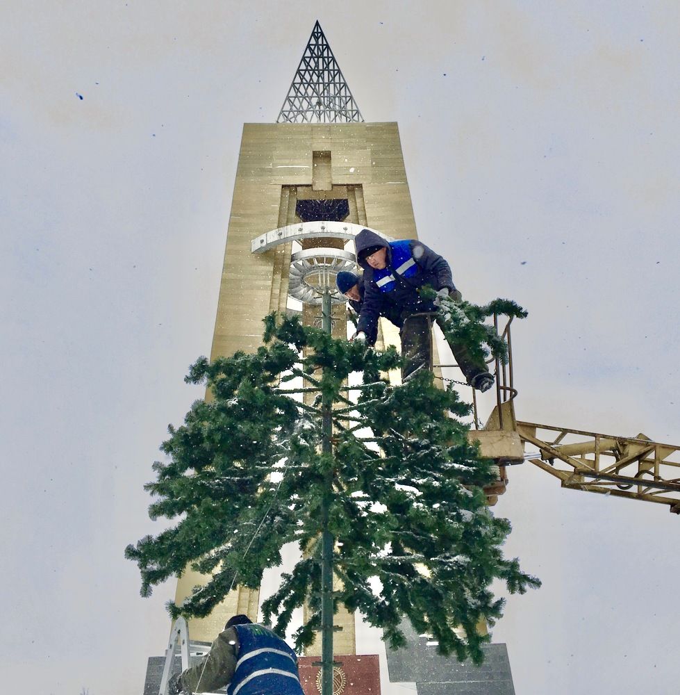 Photograph by Елена Ким