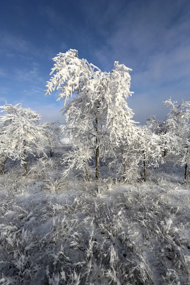 Photograph by Murat Kuzhakhmetov