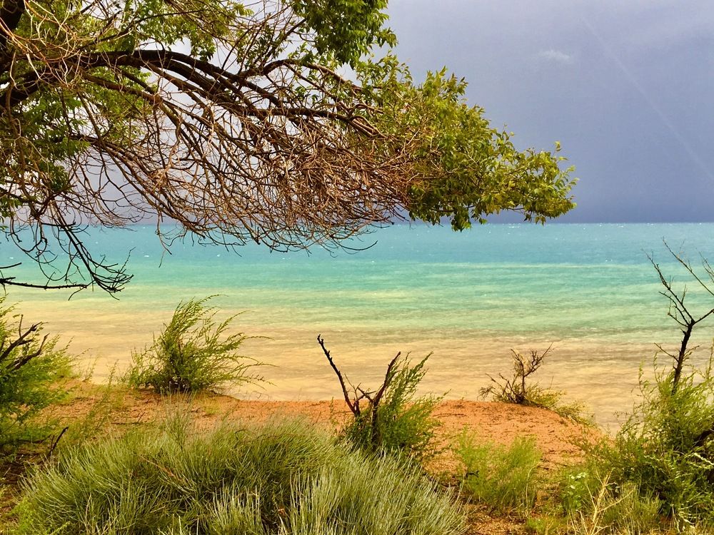 Photograph by Елена Ким