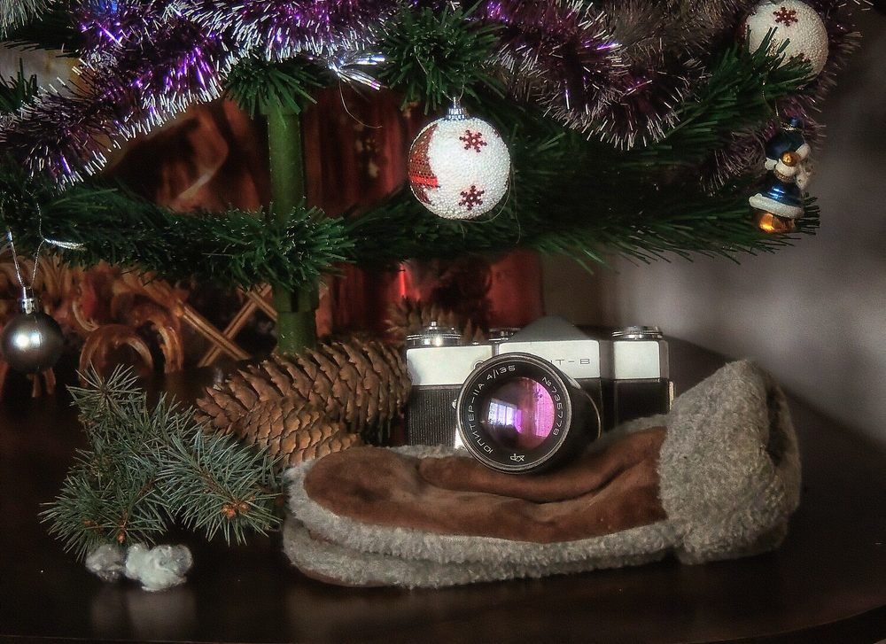 Фотография автора Роман Савоцкий