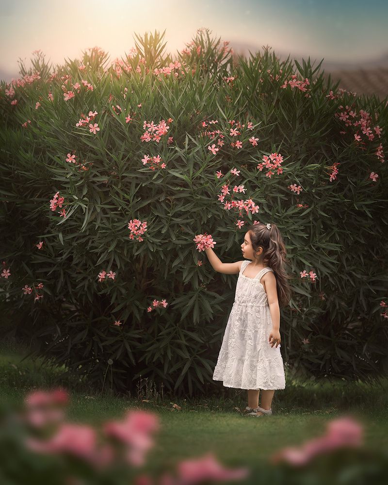 Фотография автора Mariana Flor