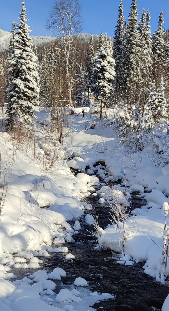 Photograph by Наталья Глек