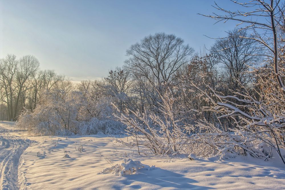 Photograph by Василий Королёв