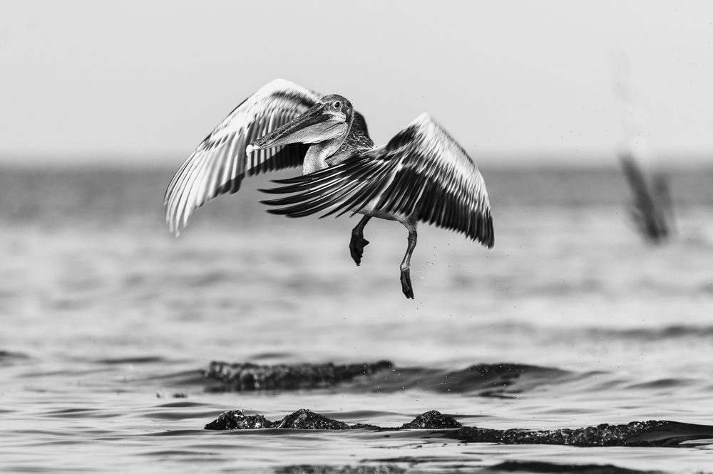 Photograph by Abel Cancino Gutierrez