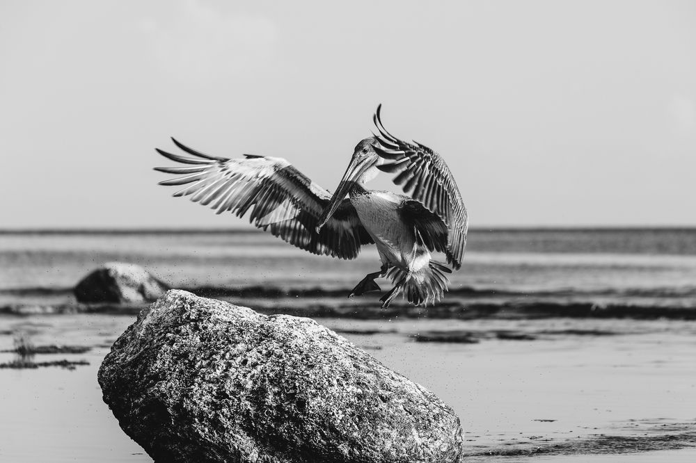 Photograph by Abel Cancino Gutierrez