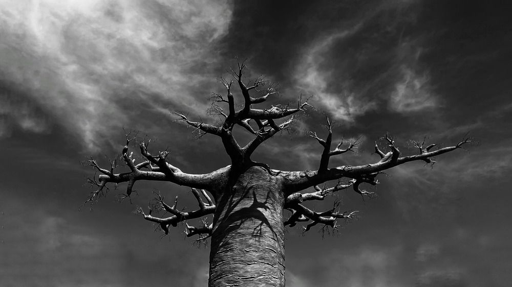 Photograph by MEET Gohel