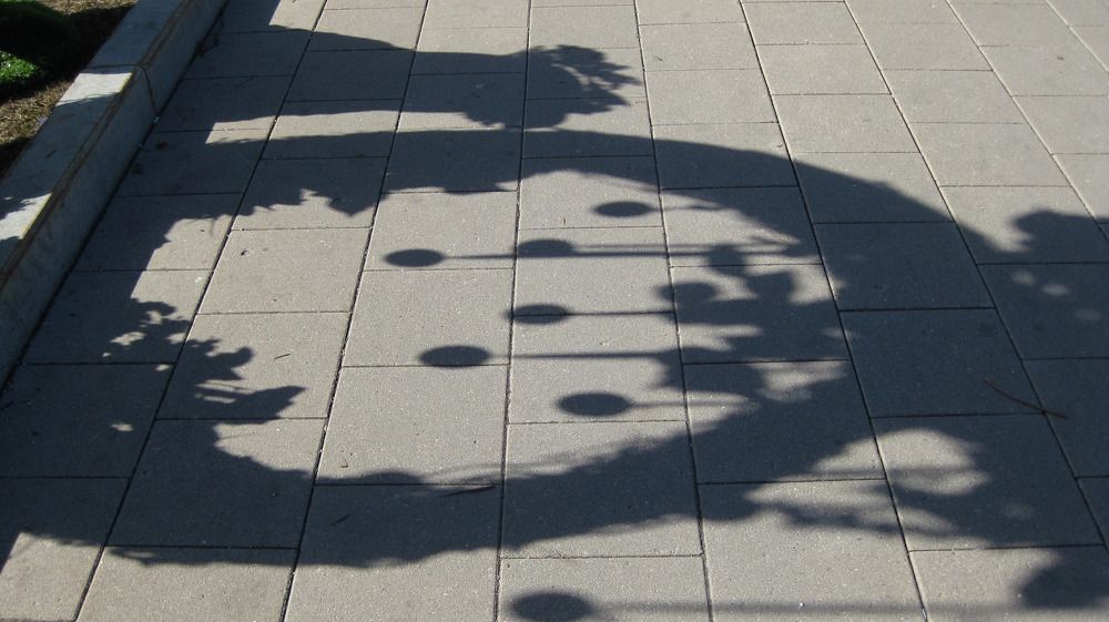 Photograph by Елена