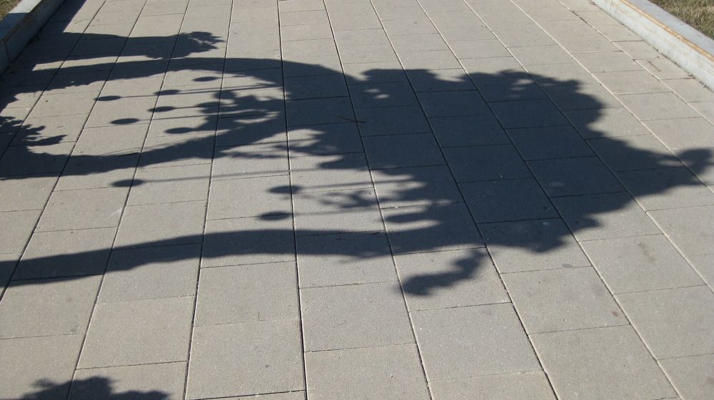 Photograph by Елена