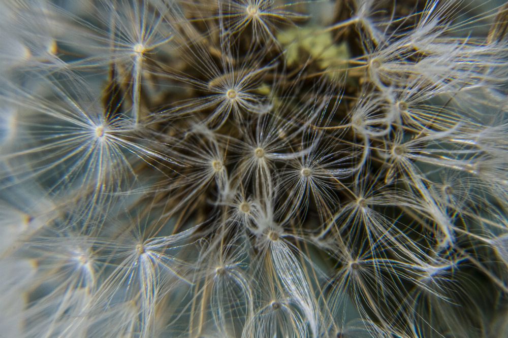 Photograph by Jamshed Shoev