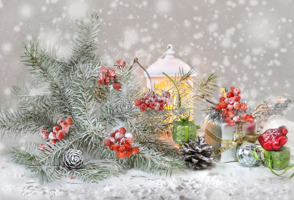 Photograph by Шруб (Беляева) Татьяна