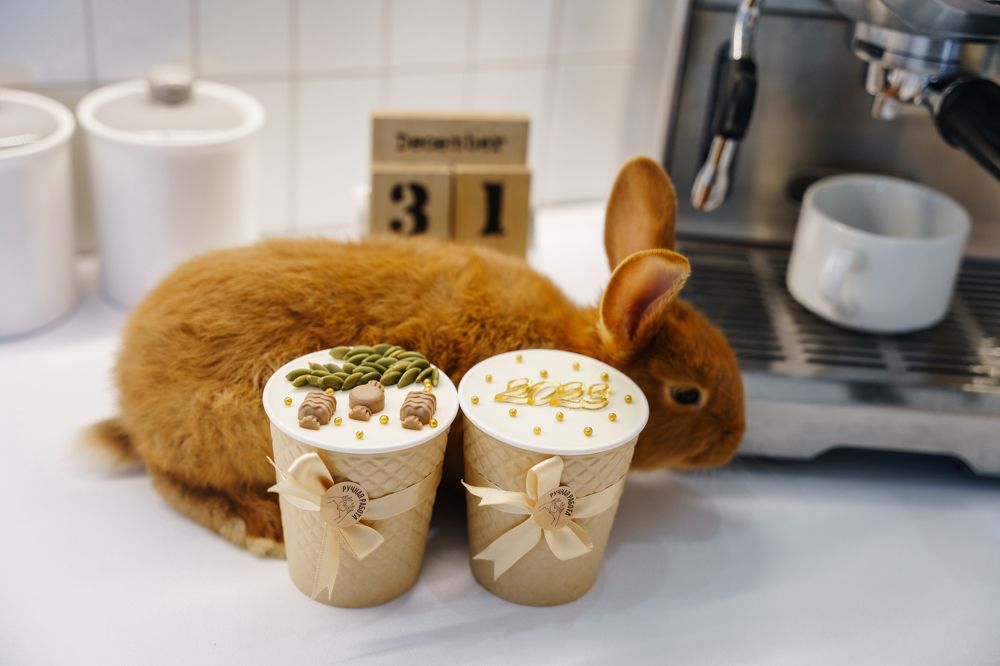 Photograph by Екатерина Чернова-Груздева