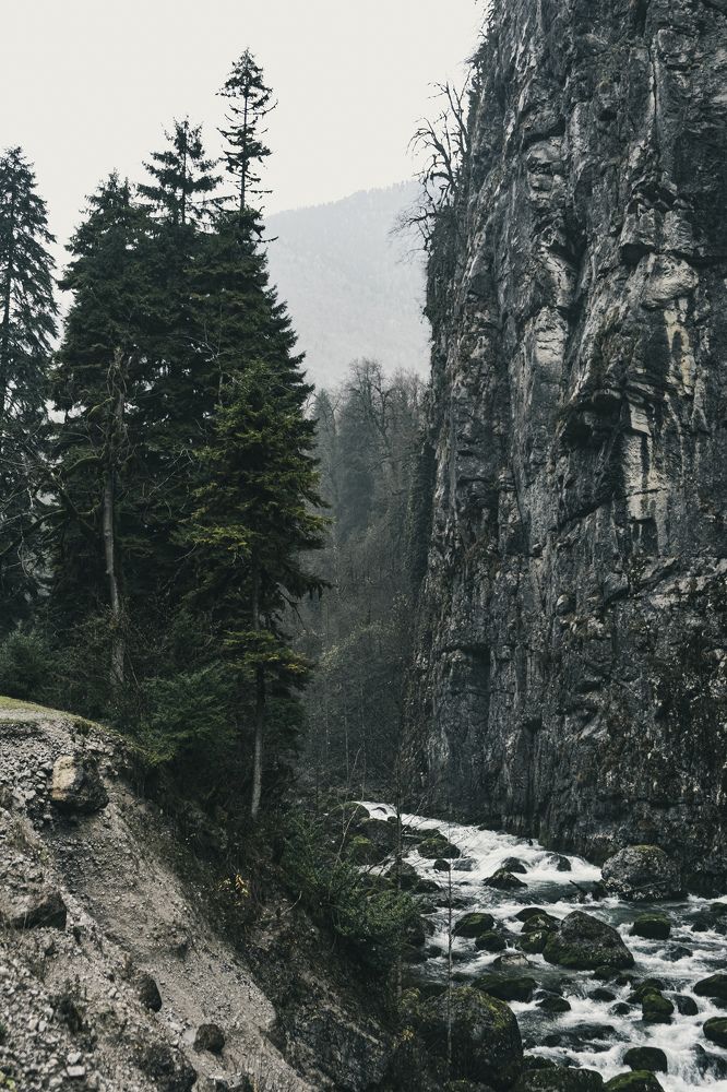 Photograph by Дмитрий Задунайский