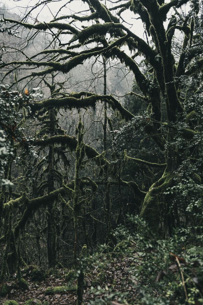 Photograph by Дмитрий Задунайский