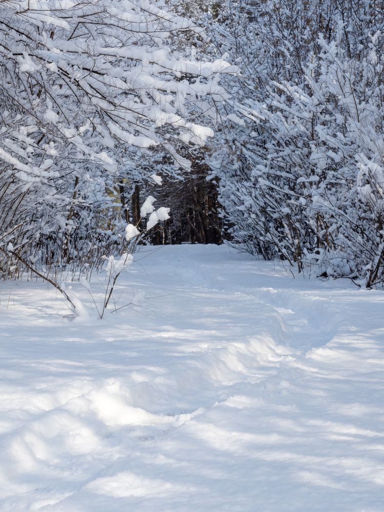 Photograph by Маргарита Ивкова