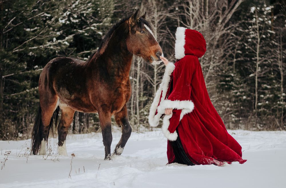 Photograph by Елена Коновалова