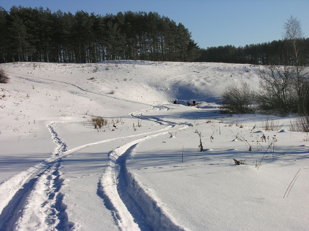 Дорога к роднику