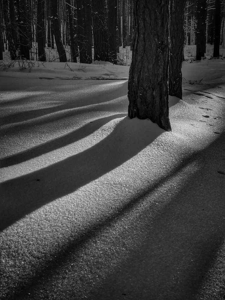 Photograph by Konstantin Martynov