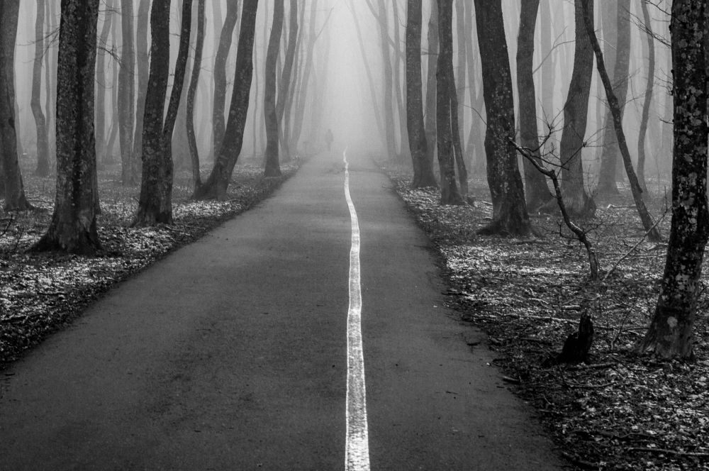 Photograph by 