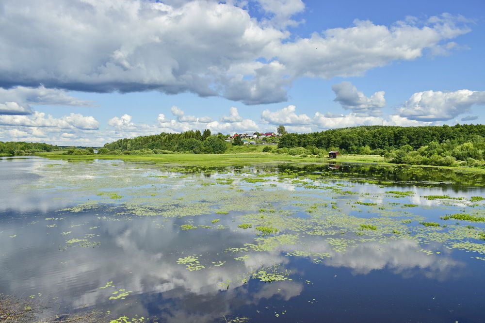 Озеро Подгорное. Кировская область.