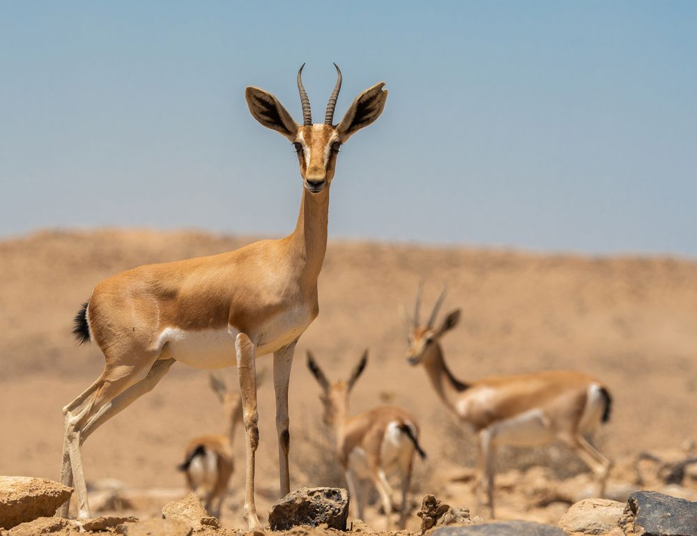 Photograph by Guy Wilson