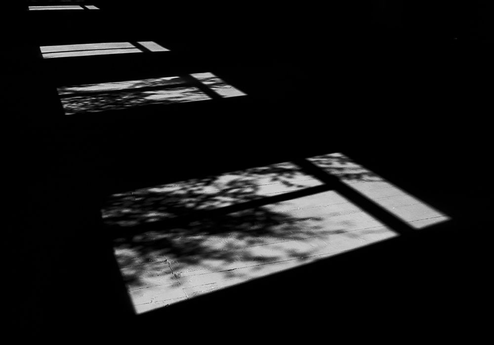 Photograph by Borjigon Bayasal